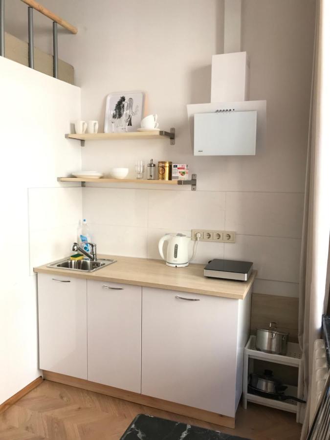 Centro Apartment Near Gedimas Avenue Аеропорт Вільнюс Екстер'єр фото